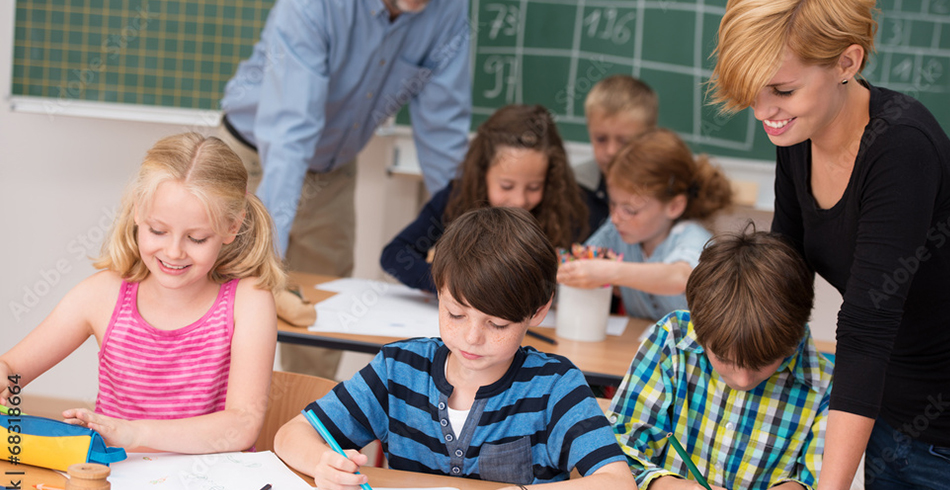Field Trips and Educational Tours